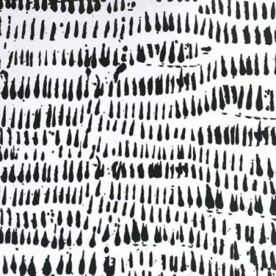 Image of A Street Prints Wallpaper Rhunes FD24354