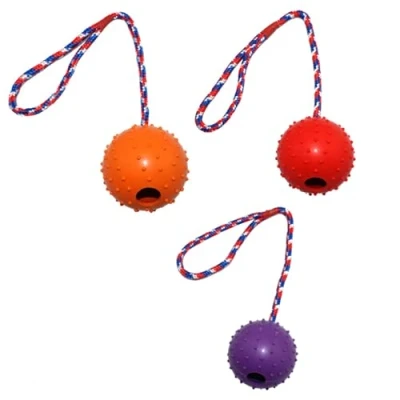 Image of Pack of 3 Ball on Rope Rubber, Dog Toy Ball, Throwing for Dogs, Balls Rope, with String