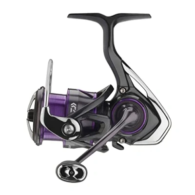 Image of Spinning reel Daiwa 22 Prorex V LT 1000 Fishing