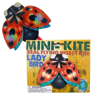 Image of House of Marbles Insect Mini Flying Kites, Assorted Designs