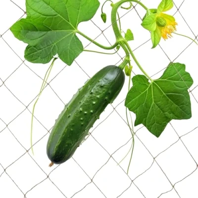 Image of Relaxdays Jute Trellis Net, Cucumber &amp; Flowers Climbing Support, Garden Greenhouse, Biodegradable, 2 x 3 m, Natural