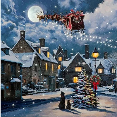 Image of Snowtime Fibre Optic &amp; LED Street Light Canvas by Richard Macneil 40cm x