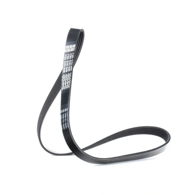 Image of 5750J2, 5750VA, 96155010 V ribbed belt DAYCO 6PK1013 1013,0mm 6 PEUGEOT: 206 Hatchback, SW, Boxer Platform / Chassis, CITROËN: Relay I Van