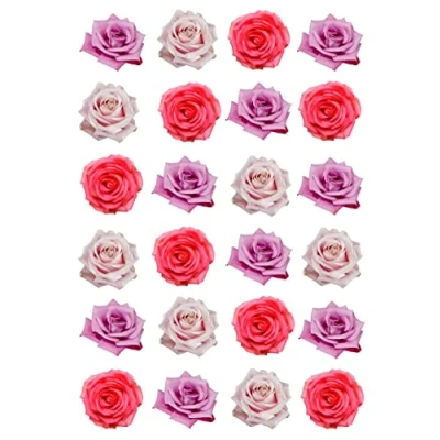 Image of 24 Pink and Red Roses Mixed Colours Single Rose Edible Rice Wafer Paper Cupcake Toppers Cake Decorations Flowers