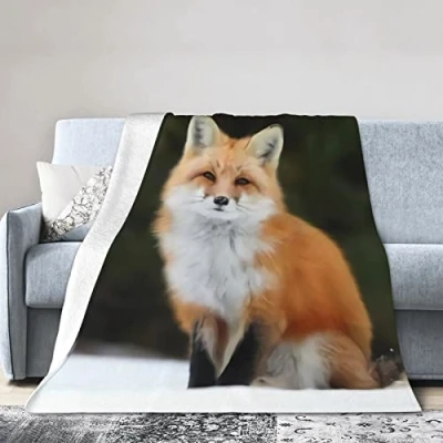 Image of Ferocious Fox Soft Micro Flannel Blanket Throw, Warm Cozy Lightweight Decorative for Sofa Couch Bed, Printed Gifts Kids Girls Boys Women Men