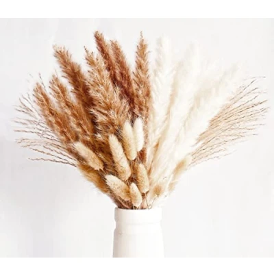 Image of Pack of 70 Pampas Grass Decoration, Small Natural Dried Flower Bouquets Made Grass, Boho Decoration for Living Room, Table, Bedroom, Weddings and Bathrooms.
