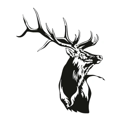 Image of LightningSigns Stags Head Car,Camper Van Motorhome Window 4x4 Sticker Decal (Small)