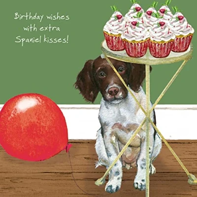 Image of Spaniel Birthday Kisses Little Dog Laughed Greeting Card Blank Inside SQDB03