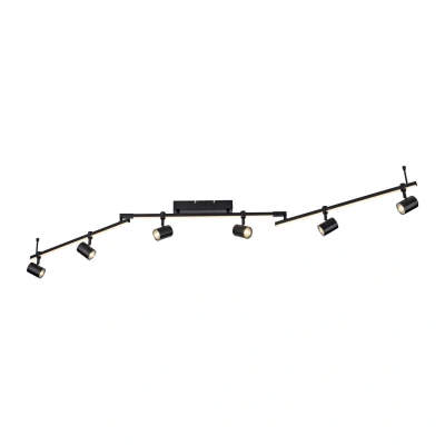Image of Paul Neuhaus LED downlight Barik, 188 cm, adjustable