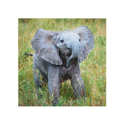 Image of UK Greetings Card For Him/Her/Friend With Envelope Elephant Design
