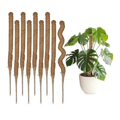 Image of Coconut Sticks in Set of 10, Flexible Plant Rods, for Monstera, Ivy and more, 60 cm Long, Coir Fibre, Natural Relaxdays