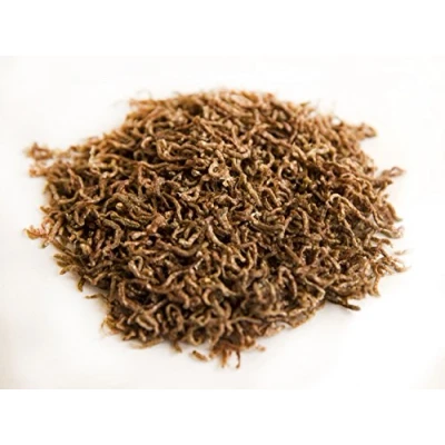 Image of Chubby Freeze Dried Bloodworm Fish Food For All Coldwater, Tropical, &amp; Marine Fish, Turtles, Terrapins 25g