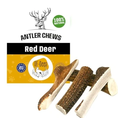 Image of RF Deer Antlers for dogs SOFT Size XL 5 PIECES Natural Antler, Long Lasting Chew Treat, Naturally Shed, Enjoyment and Dental Care Health your dog, Chews Toys, Sustainable