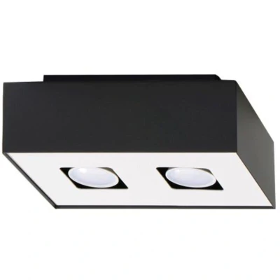 Image of Mono 2 Light Flush Ceiling Black &amp; White, GU10