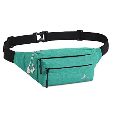 Image of Bumbags Waist Fanny Pack Dog Walking Bum Bag with Adjustable Belt Bumbag for Travel Outdoor Sports Running Hiking Jogging Women Men (LightGreen)
