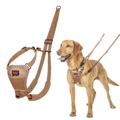 Image of HALTI No Pull Harness to Stop Your Dog Pulling on the Leash. Adjustable, Lightweight and Easy Use. Reflective Training for Medium Dogs (Size M, Desert Sand)