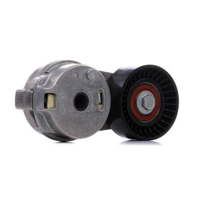 Image of 4861528AC, K04593817AB, K04861528AC, K04861660AA Tensioner Pulley GATES T38323 JEEP: GRAND CHEROKEE 3, Commander, CHRYSLER: 300C Saloon, Touring