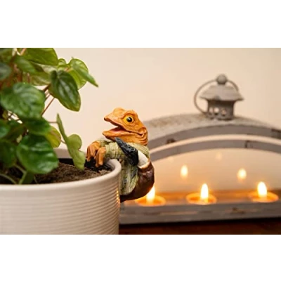 Image of Pot Buddies Wind in the Willows Mr Toad a Suit Hanger Ornament