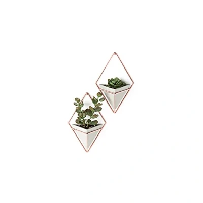 Image of Umbra Trigg Hanging Planter Vase &amp; Geometric Wall Decor Concrete Container Great For Succulent Plants, Air Plant, Mini Cactus, Faux Plants and More, Set of 2, Small, Concrete/Copper