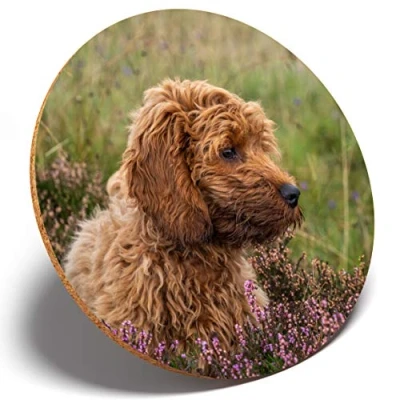 Image of 1 x Fluffy Cockapoo Puppy Dog Round Coaster Kitchen Student Kids #2703