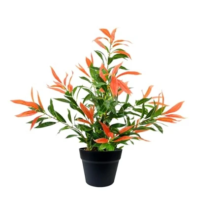 Image of Crystals Artificial Plants Faux Ficus, Cycas, Palm, Bay Trees, Winter Sweet, Paradise &amp; Photinia for Indoor/Outdoor Décor, Home, Office Garden Use (80cm Tree)