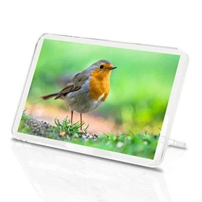 Image of Beautiful Red Robin Classic Fridge Magnet Bird Christmas Animals #15509