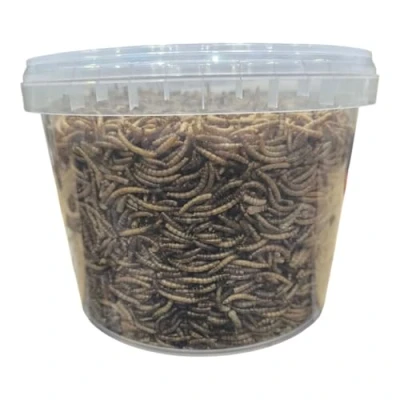Image of Dried Mealworms for Birds High Protein Bird Food Wild Birds, Garden Nutritious Year Round Feed Robins &amp; Small Perfect Feeders Mealworm (5L Tub)