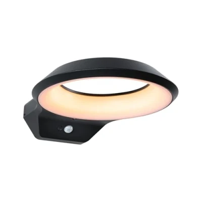 Image of Paulmann Anela LED sensor wall light 2,200 K