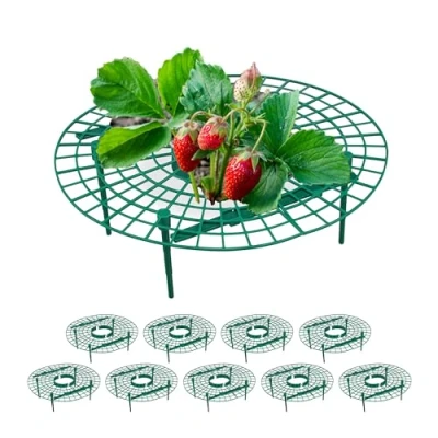 Image of Relaxdays Strawberry Support, 10x Set, Protect Plants &amp; Flowers from Snails, Prevent Rot Mould, Round, Plastic, Green, 10 x 30 cm