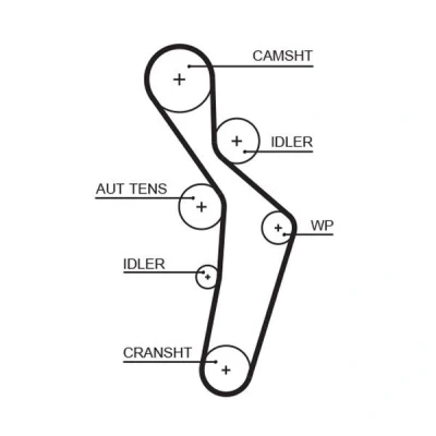 Image of 06D109119 Timing Belt GATES FleetRunner Micro V Stretch Fit 5616XS 145 1160mm 23mm AUDI: A3 Sportback, Hatchback, A4 B6 Avant