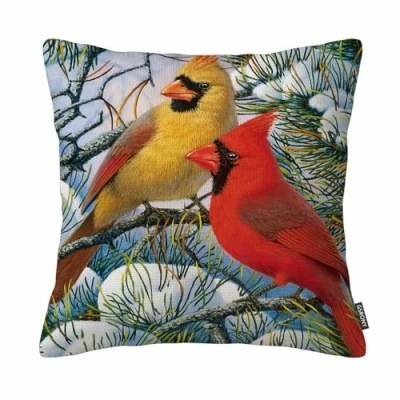 Image of GSRONY Bird Throw Pillow Covers Funny Red Cardinal Art Cushion Case Home Decor Pillowcase 18x18 Inches