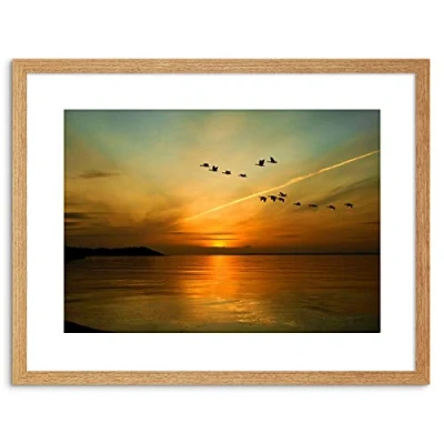 Image of Wee Blue Coo 9x7 &#039;&#039; GEESE BIRD FORMATION SUNSET LAKE FRAMED ART PRINT PICTURE PHOTO F97X366