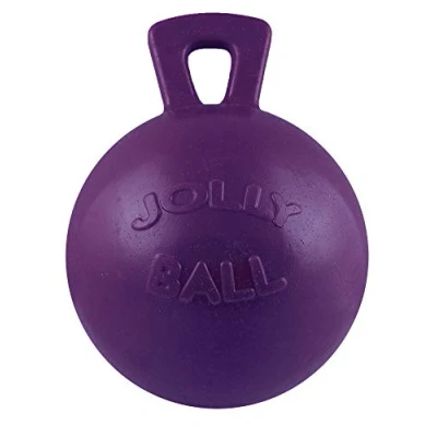 Image of BR Play Ball Jolly 10 &quot; 25 Purple