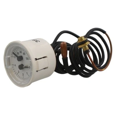 Image of Biasi Temperature Pressure Gauge BI1475108