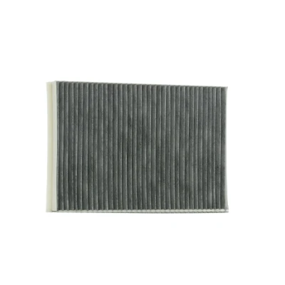 Image of 13175553, 90520689, 91132359, 9121627, 95528292 Pollen Filter VALEO CLIMFILTER PROTECT 698875 Activated Carbon 302mm 199mm 30mm