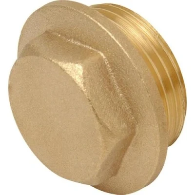 Image of 1&quot; Brass Flanged Plug
