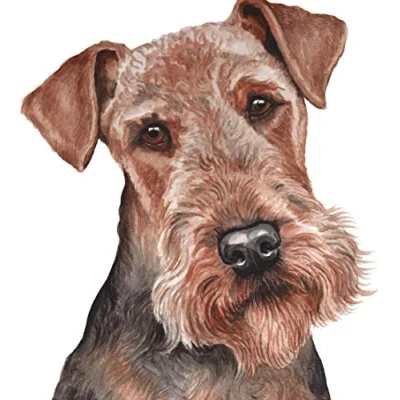 Image of DIY 5D Diamond Painting Kits Airedale Terrier Dog Full Drill Crystal Rhinestone Embroidery Pictures Arts for Home Wall Decor