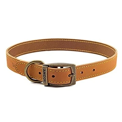 Image of Ancol Timberwolf Comfortable Durable Leather Mustard Dog Collar Pet Training Accessory 55 63 cm, Size 8