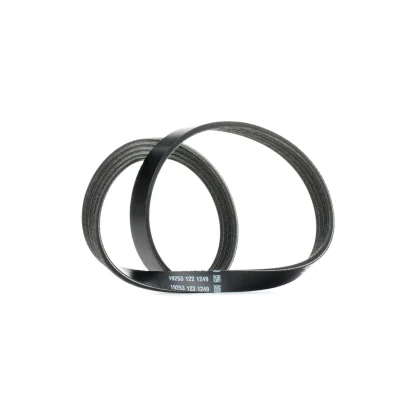 Image of 11287791786, 32427791786, 64557793608, 7791786, 7793608 V ribbed belt DAYCO 4PK830EE 830,0mm 4 BMW: 5 Saloon, 3 Touring