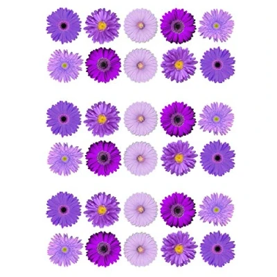 Image of 30 Mixed Purple Lilac Gerbera Flowers Edible Wafer paper Cake Topper Decorated Sheet Individual Printed