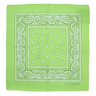 Image of Zac&#039;s Alter Ego Retro Vintage Style Cowboy Paisley Bandana/Neckerchief/Durag