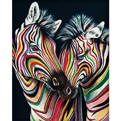 Image of OWN4B Cross Stitch Kits Stamped, Colorful Zebra Printed Pattern 11CT 14.2x18.1 inch DIY Embroidery Kit (Zebra)