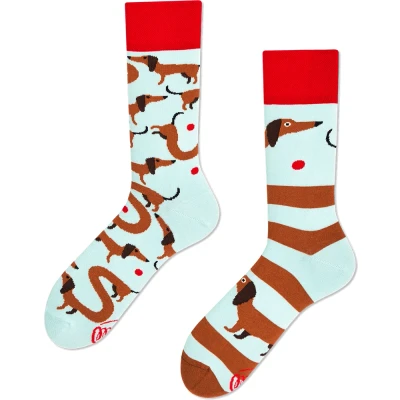 Image of Many Mornings Socks Dachshund Multicolour size 43 46
