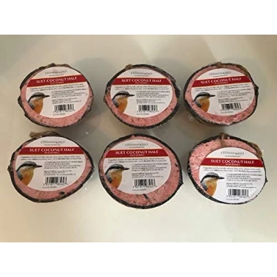 Image of Suet Filled Half Coconuts for Wild Birds Berry Flavour (Pack of 6)