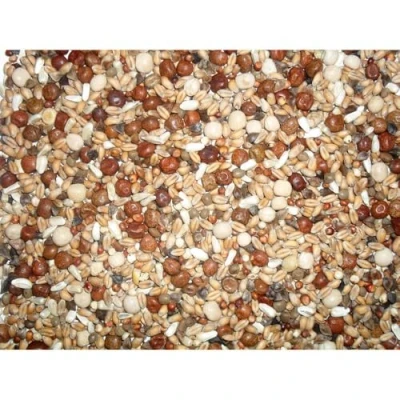 Image of Johnston &amp; Jeff Pigeon Breeding Mix, 20 kg