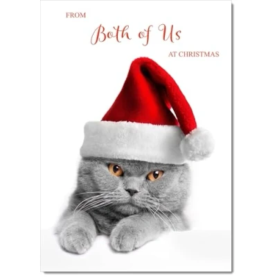 Image of doodlecards From Both Of Us Christmas Card Cat with Santa Hat Medium Size Plain Envelope