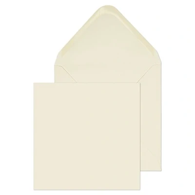 Image of Blake Purely Everyday 155 x mm 100 gsm Banker Invitation Gummed Square Envelopes (ENV4275) Cream Pack of 500