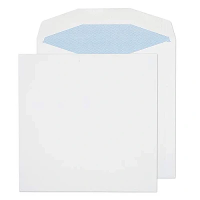 Image of Blake Purely Everyday 220 x mm 100 gsm Gummed Mailer Envelopes (5707) White Pack of 500