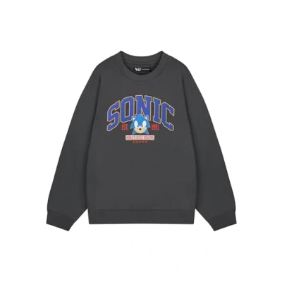 Image of Sonic THE HEDGEHOG Men&#039;s Grey Sweatshirt World&#039;s Fastest Graphic Sweater Classic Video Game Apparel Retro Gamer Jumper Official Sega Merchandise for Men