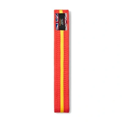 Image of Playwell Martial Arts Cotton Striped Coloured Grading Belt Orange With Yellow Stripe (220cm)